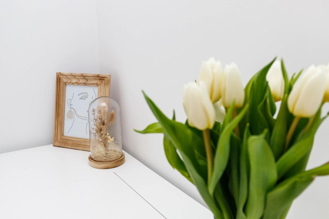 Apartment Klara クルク エクステリア 写真